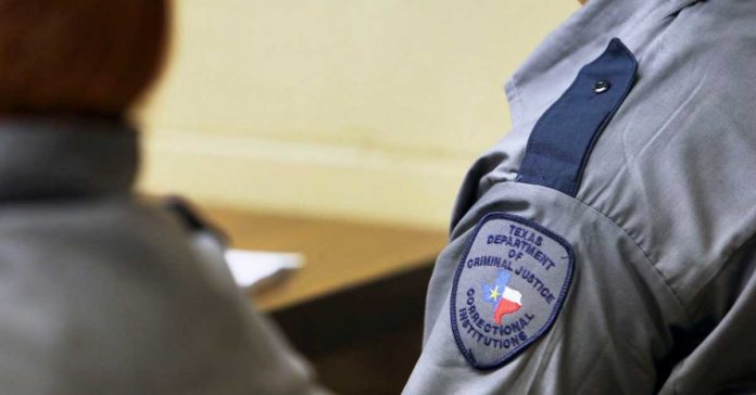 tex dept of criminal justice