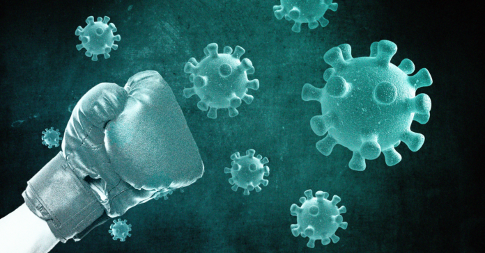 Boost Your Immune System