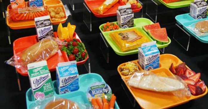 Free School Lunch Program