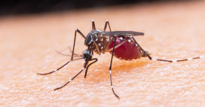 Texas West Nile Case