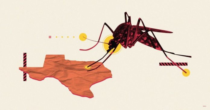 Texas West Nile Virus