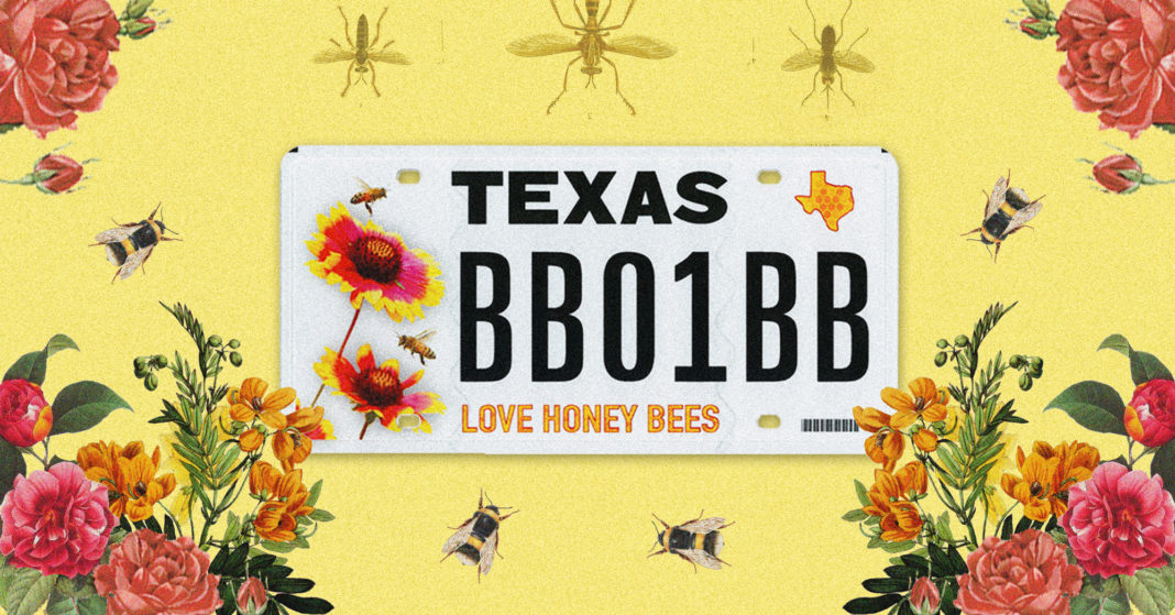 Texas Honeybees