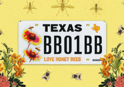 Texas Honeybees