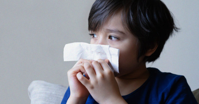 flu-season Flu Season