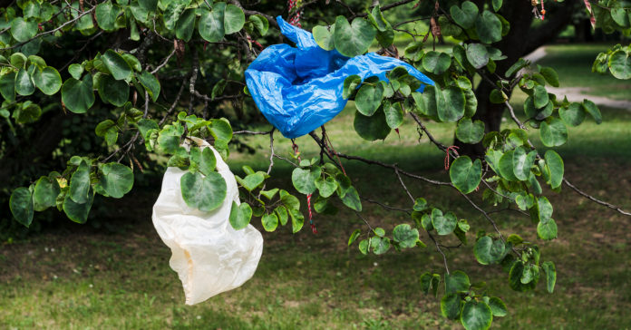 plastic bags environment