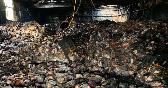 Will-Greenberg-Turkey-explosion-impact-availability-of-turkeys-this-year