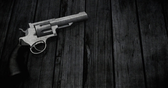 gun
