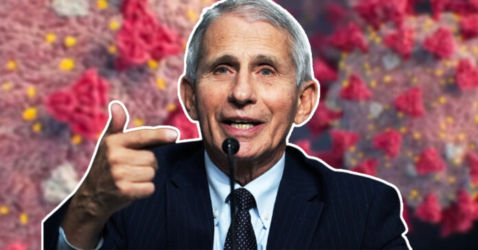 Fauci-says-early-evidence-points-to-Omicron-being-more-transmissible-but-less-severe