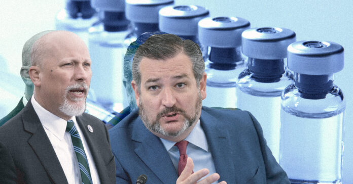 Ted&chip