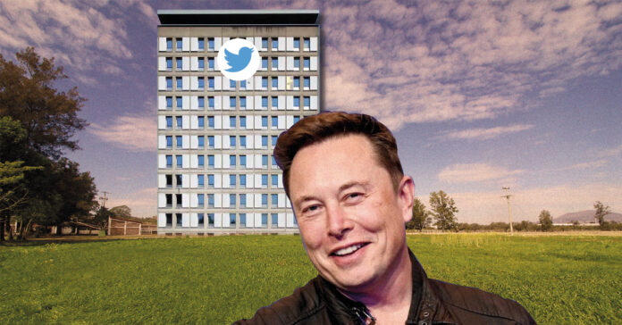 Musk&Tw
