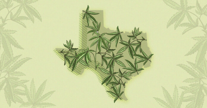 Texans-should-not-have-to-visit-New-Mexico-for-weed