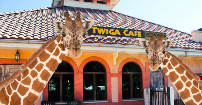 Dine-With-The-Giraffes-At-This-One-Of-A-Kind-Zoo-Restaurant-In-Texas
