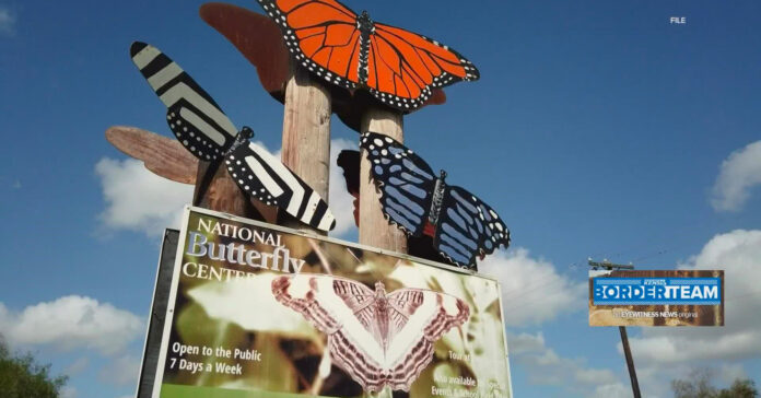 Texas-butterfly-center-targeted-by-far-right-conspiracy-theorists-to-reopen