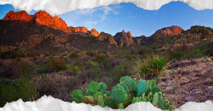 A Desert in Texas