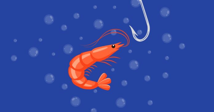 A-shrimp-being-catched