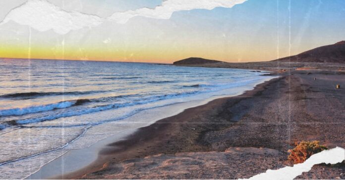 Texas beaches