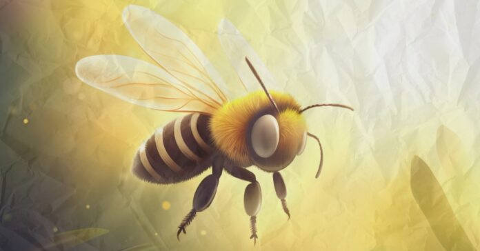 ranews-sugar-land-airport-bees