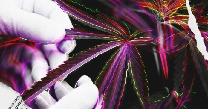 ranews-medical-marijuana