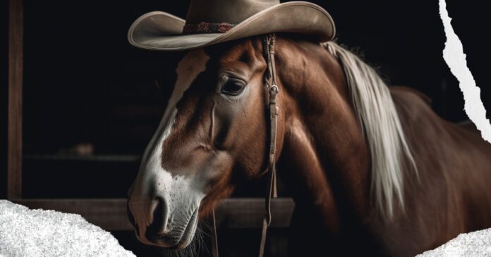 ranews-sheriff-the-horse-that-goes-to-bars