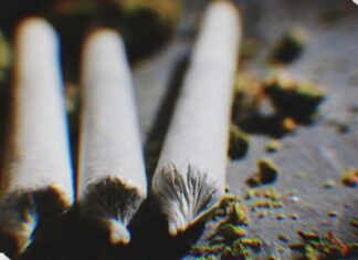 Donald Trump signs THC ban, dealing blow to Texas hemp industry