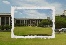 Houston City College Elects Renee Jefferson Patterson to District II Trustee Role