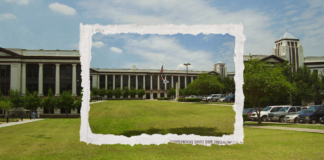 Houston City College Elects Renee Jefferson Patterson to District II Trustee Role